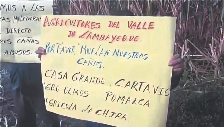 Productores de caña de azúcar reclaman por falta de apoyo.