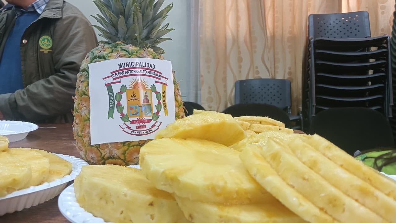 alistan festival de la piña en C.P. San Antonio Alto Pichanaqui