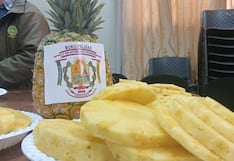 Junín: La piña, un cultivo de todo el año que mueve economía en Pichanaqui