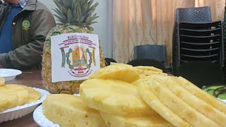 Junín: La piña, un cultivo de todo el año que mueve economía en Pichanaqui
