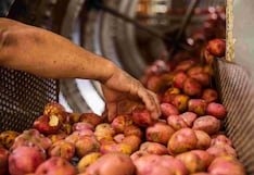 Estudiantes peruanos crean gomita vegana a base de papa para loncheras escolares