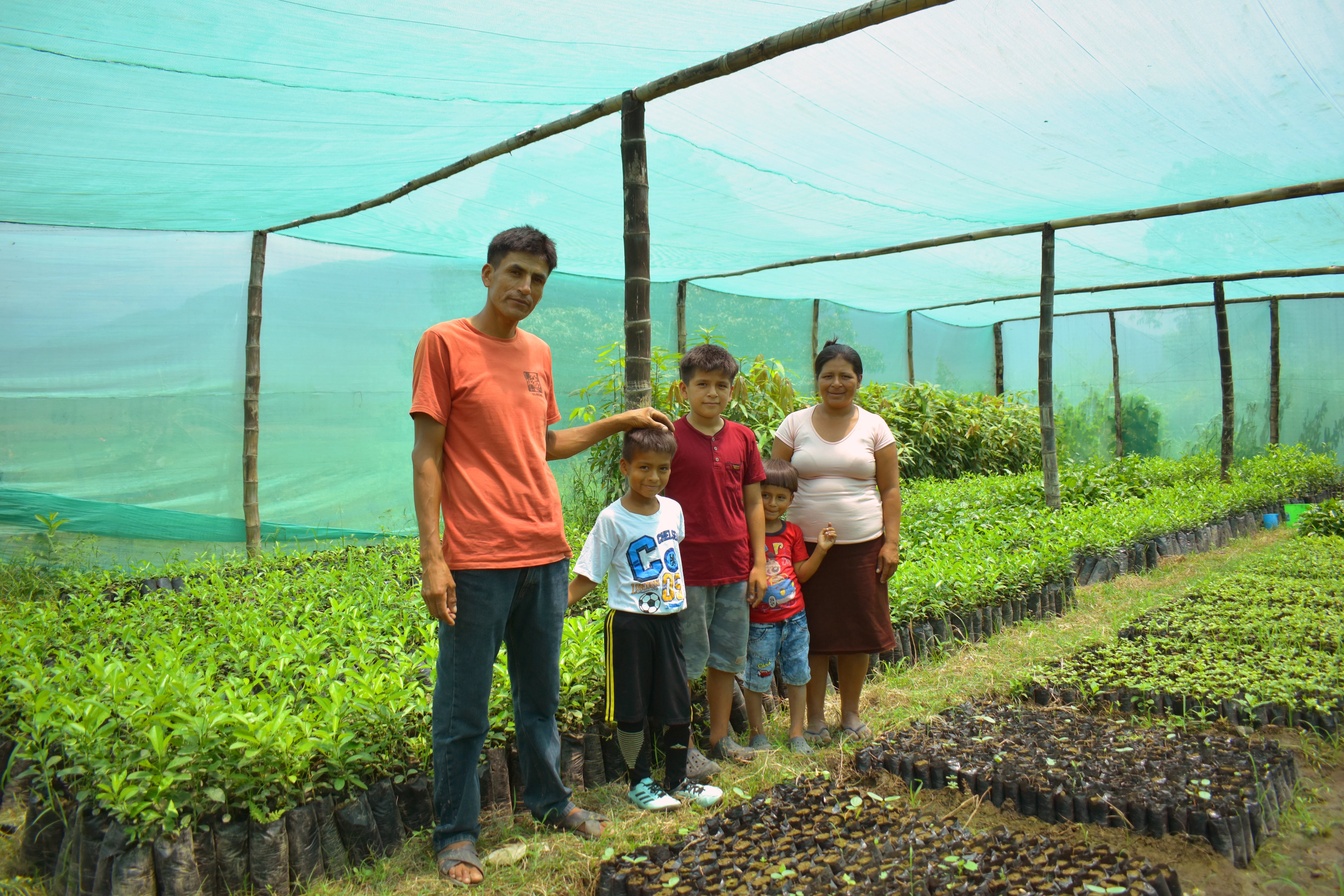 Usuaria de Juntos implementa un vivero en el que resaltan coloridas frutas y vegetales en el centro poblado Pampa Elera del distrito Las Lomas en Piura.