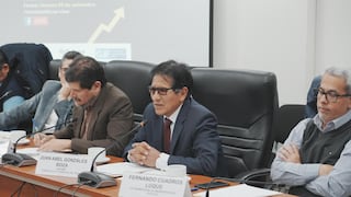 Colegio de Economistas evalúa acudir al TC por leyes del Congreso