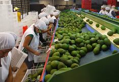 La Libertad: Agroexportación se incrementó un 23% en 2024