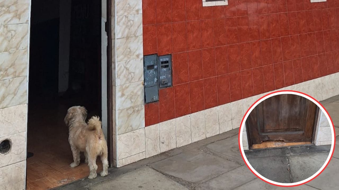 La víctima, que tiene un pequeño negocio de venta de comida, indicó a los detectives que el mes pasado ya había recibido amenazas extorsivas, pero que no le tomó importancia.