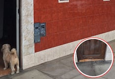 Trujillo: Delincuente ataca negocio con explosivo