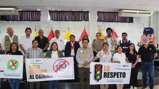 Región Ica presentó avances y aprobó el Plan Anual Regional de Seguridad Vial 2026