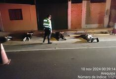 Capturan a banda de norteños dedicada al robo de camionetas | Las Imperdibles de Correo (PODCAST)