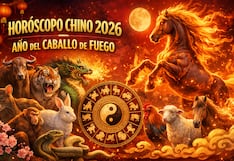 🐎 Horóscopo chino 2026: qué le espera a cada animal en el Año del Caballo de Fuego