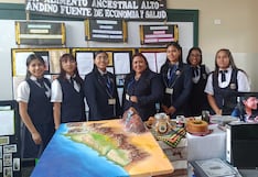 Chincha: alumnas de la I. E. Santa Ana se alistan para la fase regional de la Fencyt