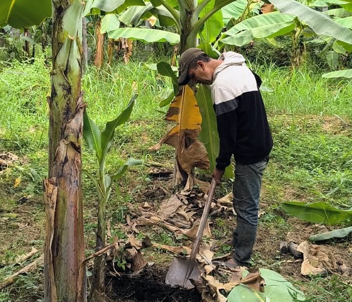 Pequeños productores elaboran sus propios bioinsumos