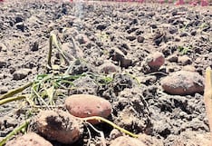 Arequipa: Déficit hídrico reduce la dotación de agua para Majes