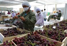 Ejecutivo evalúa norma para dar incentivos a las exportaciones