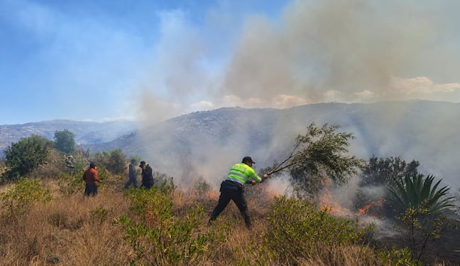 Huancavelica: siete distritos reportan incendios forestales y Tintaypuncu pide ayuda