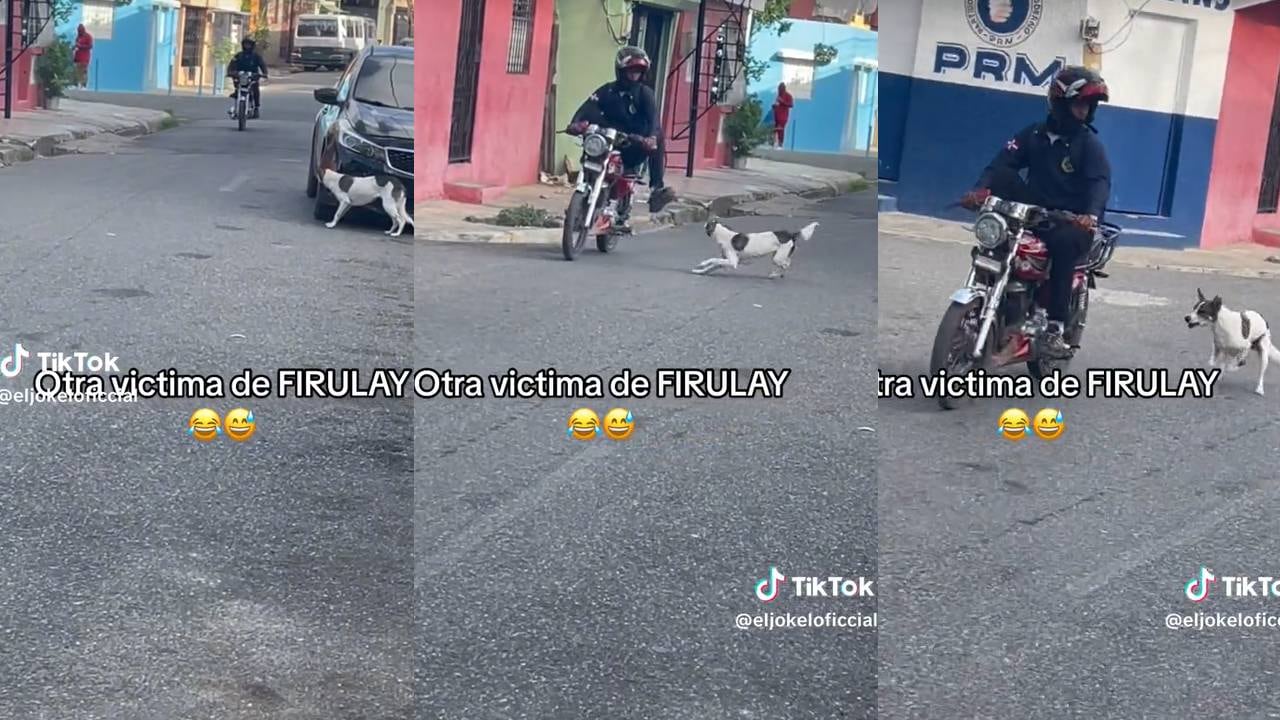 El perrito se escondió en un auto estacionado en la calle. (Foto: composición EC)