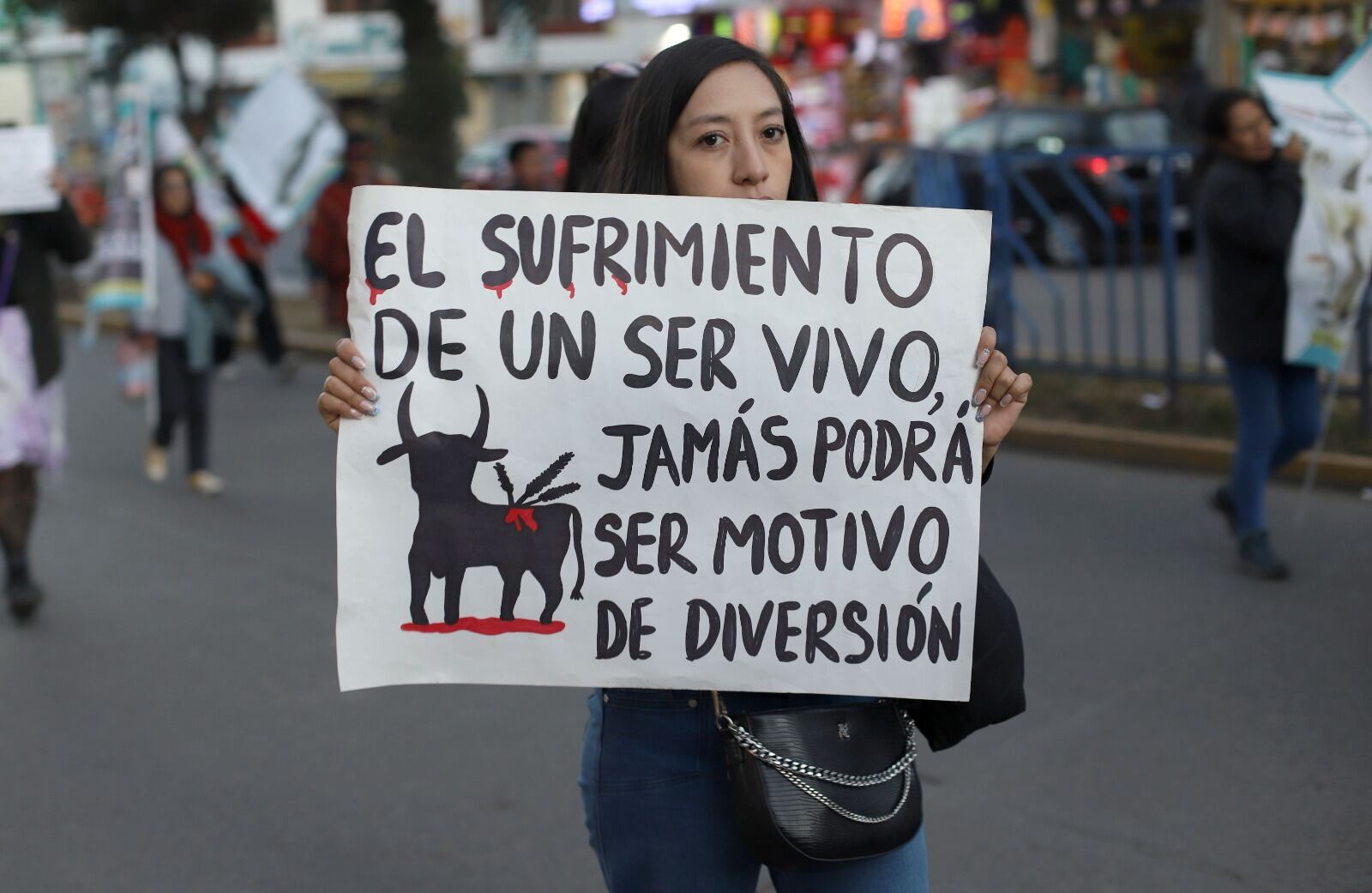 Animalistas además pidieron cárcel para alcalde de Chumbivilcas, que recientemente organizó una corrida con muerte de varios toros y caballos