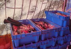 A comer pescado en Arequipa: Jurel a S/4.20 el kilo en programa nacional (VIDEO)