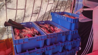 A comer pescado en Arequipa: Jurel a S/4.20 el kilo en programa nacional (VIDEO)