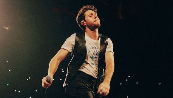 Niall Horan anunció su llegada a Latinoamérica como parte de su gira internacional “The Show Live On Tour”. (Foto: Instagram)