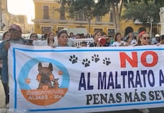 Ica: animalistas marchan tras hallazgo de perros mutilados y denuncian tráfico de animales