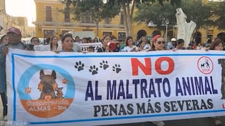 Ica: animalistas marchan tras hallazgo de perros mutilados y denuncian tráfico de animales