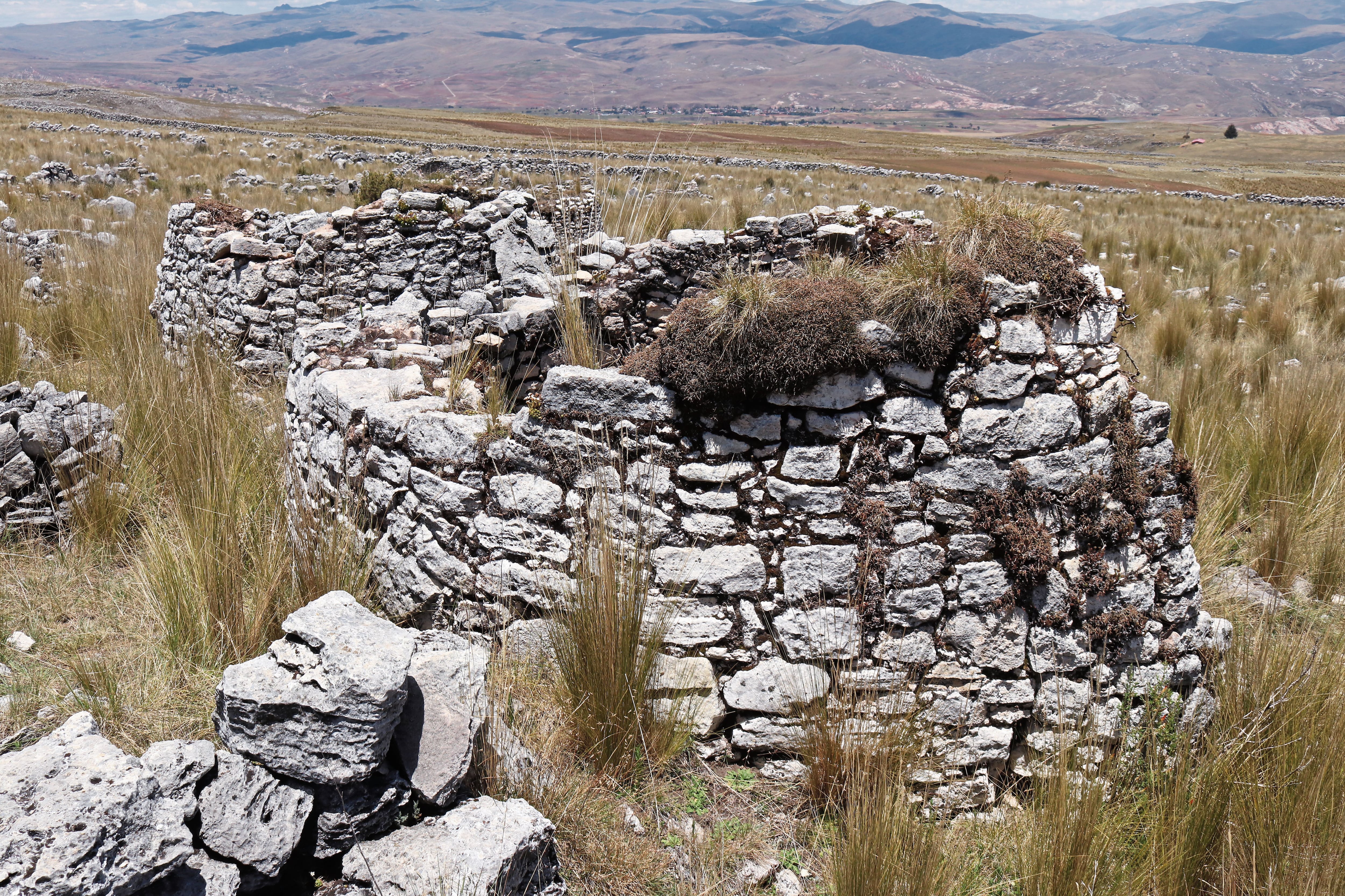En el sitio hay colcas que reflejan la importancia alimentaria en el pasado