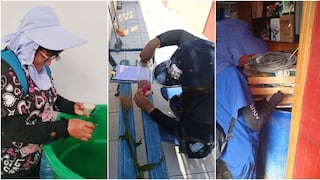 Pisco: intensifican acciones de control y prevención contra el dengue en Paracas