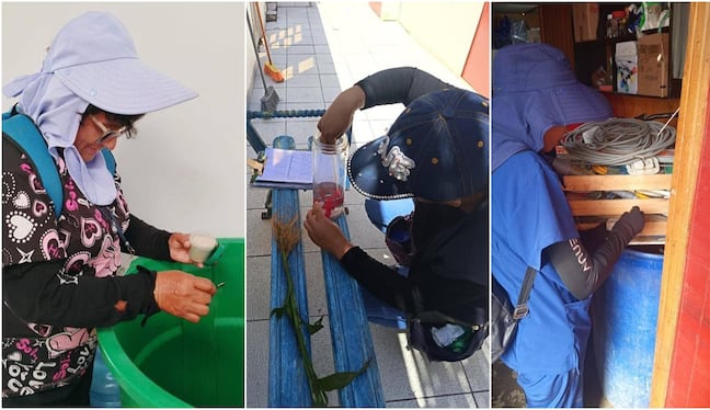 Pisco: intensifican acciones de control y prevención contra el dengue en Paracas