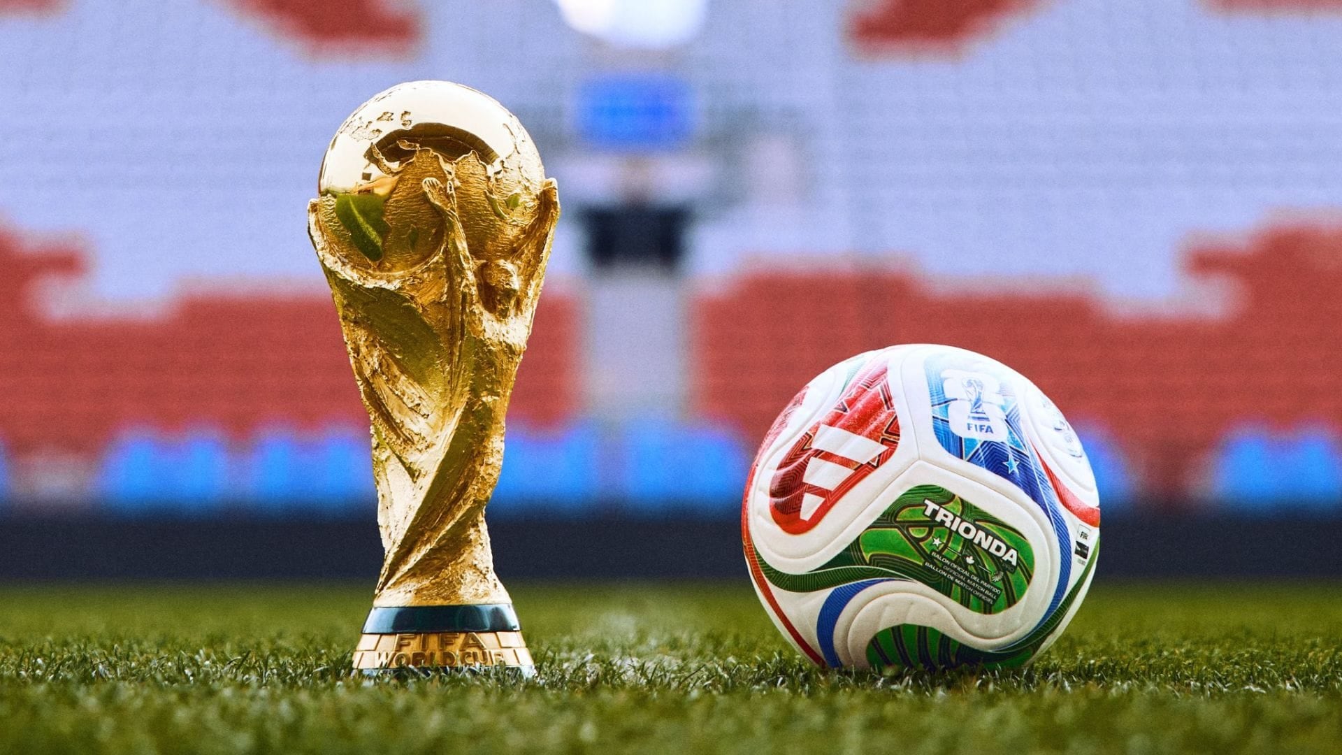 El organismo informó que el 11% de los mensajes ofensivos identificados durante la fase de grupos del torneo fueron de carácter racista. Además, se abrieron investigaciones contra cerca de mil usuarios.