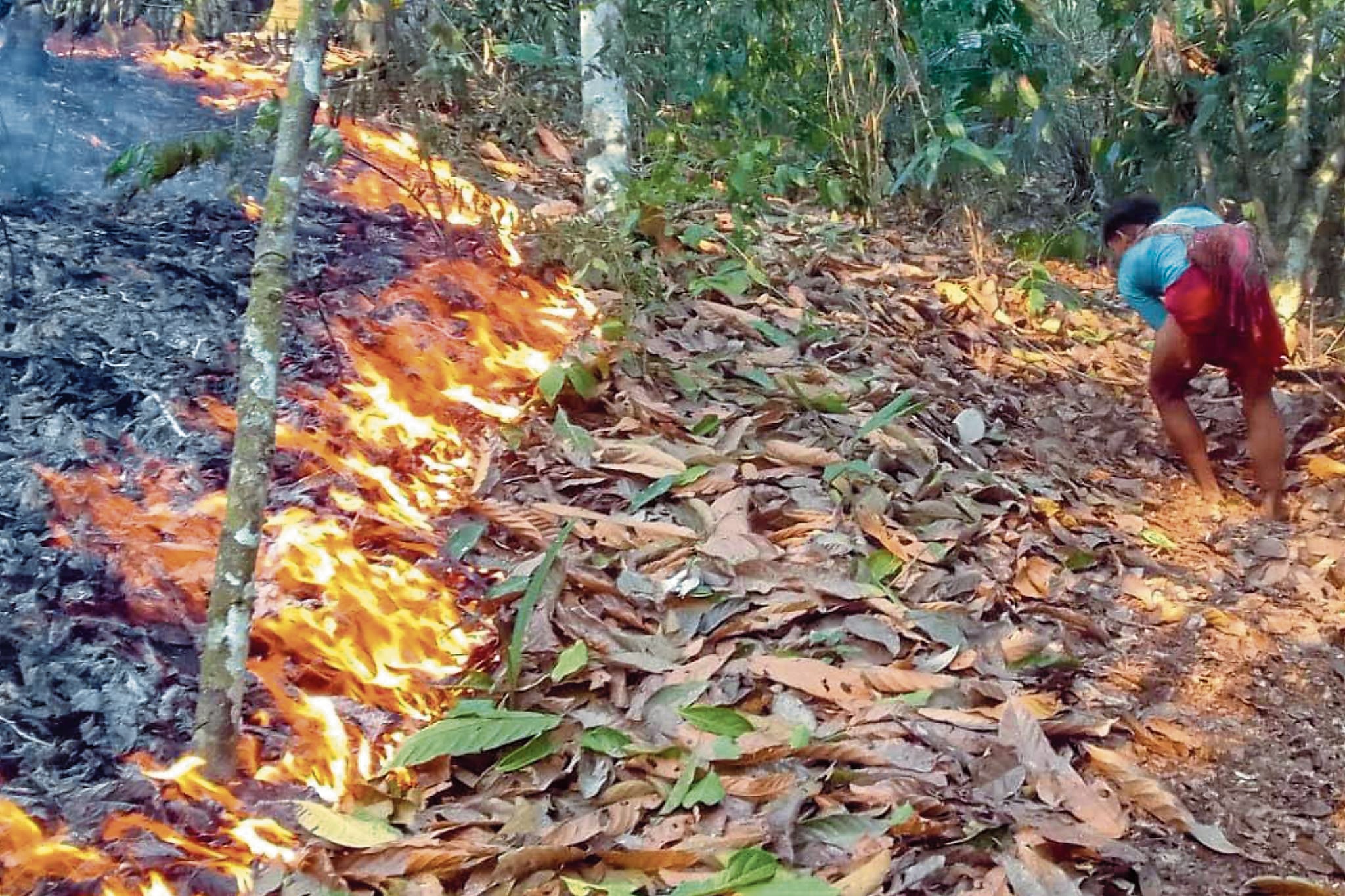 Infierno forestal en la región Junín por sequías y quemas