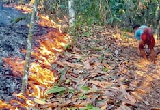 Infierno forestal en la región Junín por sequías y quemas
