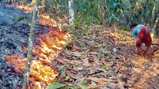 Infierno forestal en la región Junín por sequías y quemas