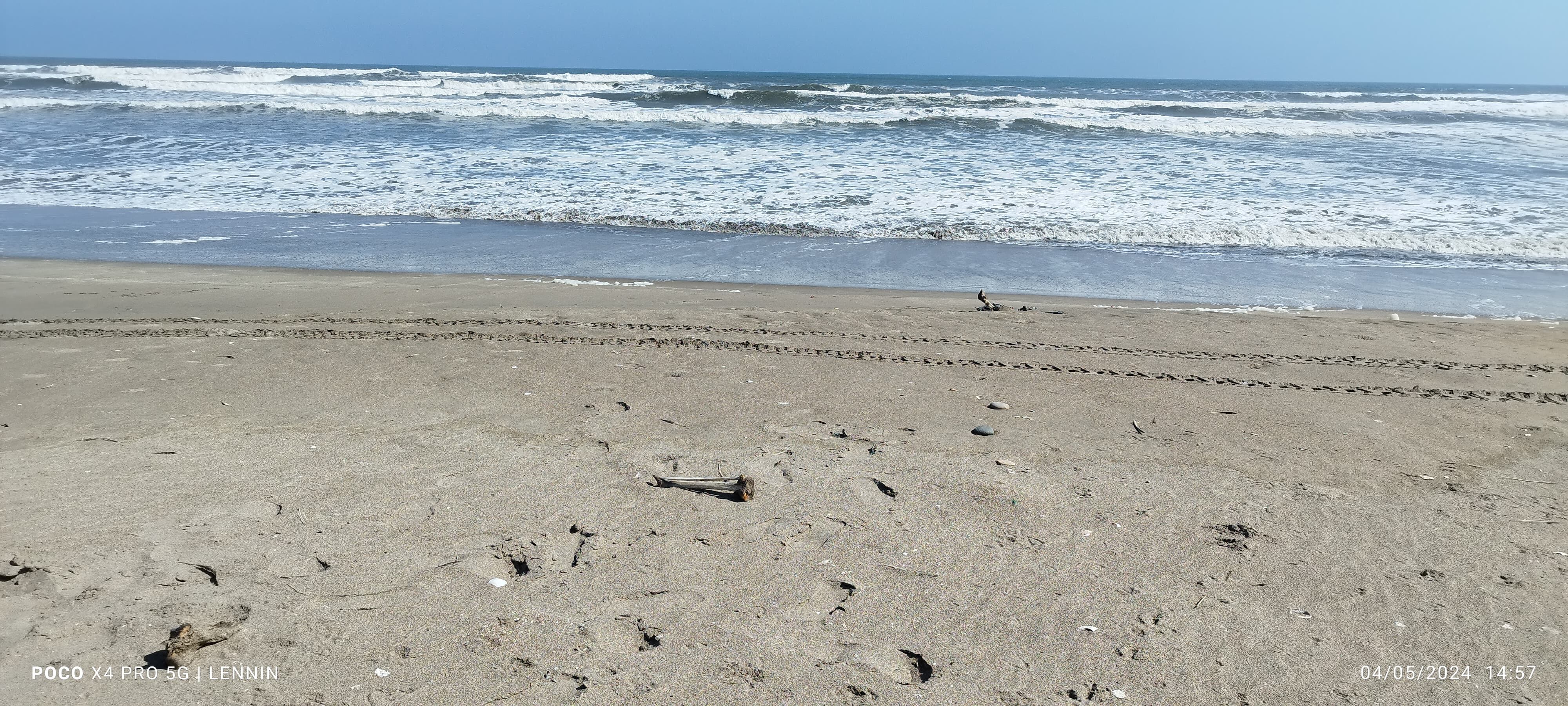 Encuentran restos óseas en playa en Sechura, Piura