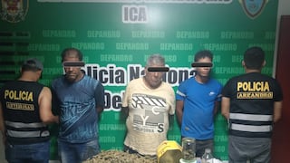 Ica: desmantelan banda delictiva “Los hierba mala de Nasca” en operativo antidrogas