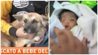 ​¡Conmovedor! Perro salvó de morir de frío a un bebé abandonado en la vía pública