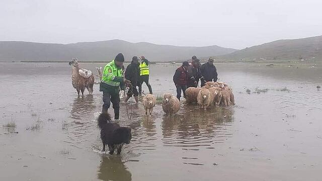 Rescatan a familias atrapadas por desborde de ríos en Puno