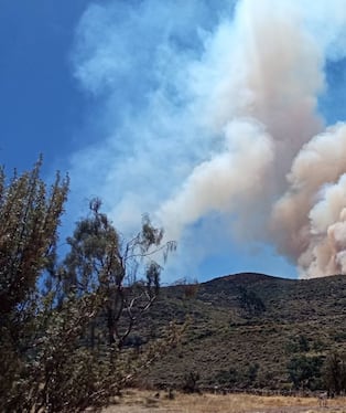 Incendio forestal afecta cobertura natural y mantiene en alerta a pobladores de Córdova
