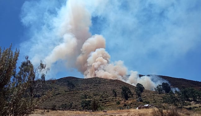 Incendio forestal afecta cobertura natural y mantiene en alerta a pobladores de Córdova