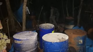 Laboratorios de pasta básica de cocaína fueron destruidos en Junín