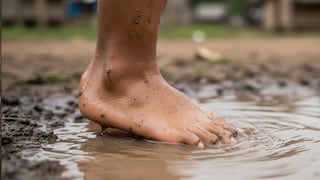 Inundaciones en Lima Sur: cómo prevenir la leptospirosis y el dengue, según el Minsa