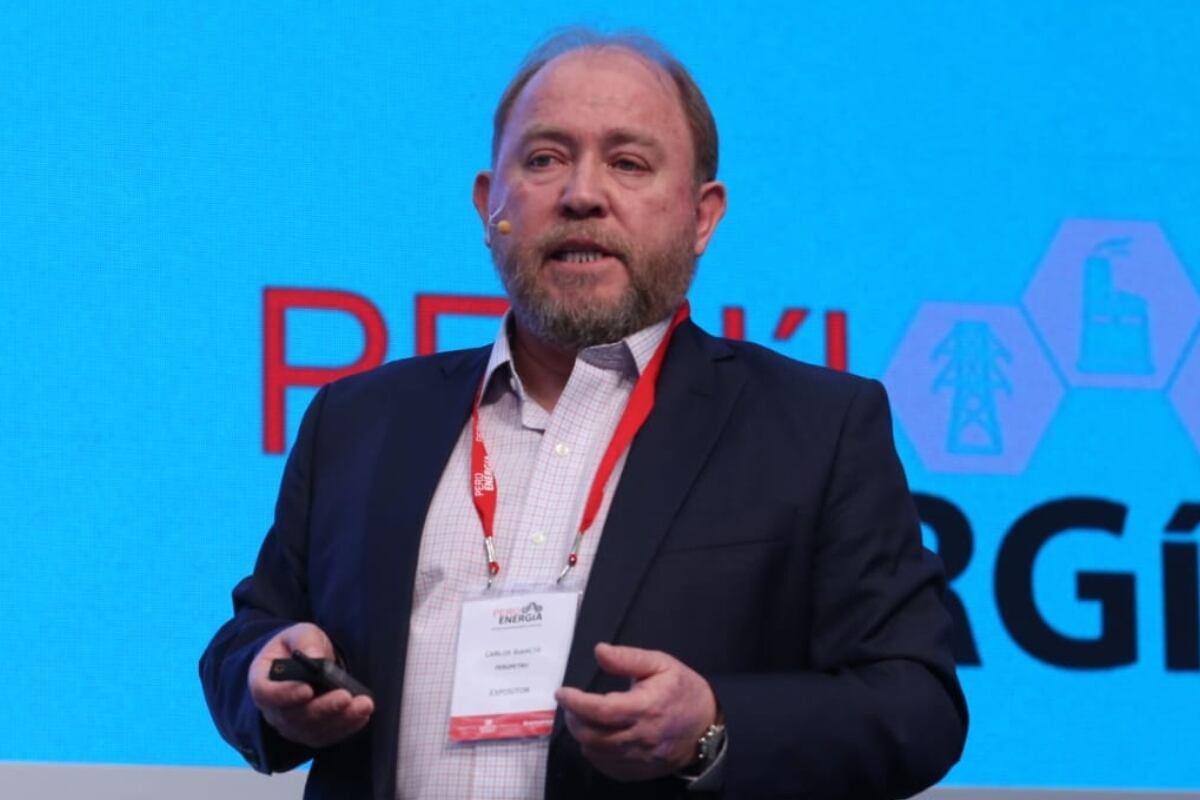 La resolución suprema oficializó la salida de Pedro Chira y designó al geólogo Carlos Bianchi Ramírez como titular del directorio de la empresa estatal. (Foto: Redes sociales)