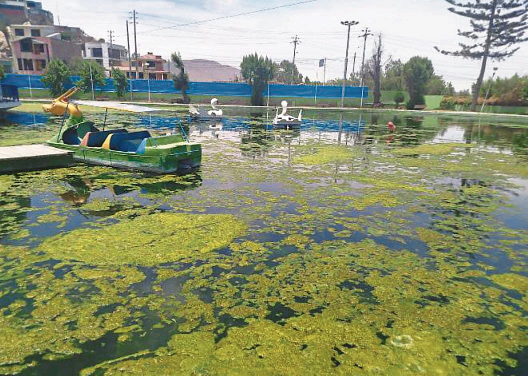Parque de Tingo en mal estado. Foto: GEC.