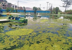 Arequipa: Parque acuático de Tingo en abandono