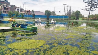 Arequipa: Parque acuático de Tingo en abandono