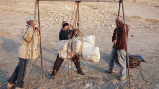 Ica: hallazgo de restos óseos de ballena antigua con 39 millones de años en el desierto  