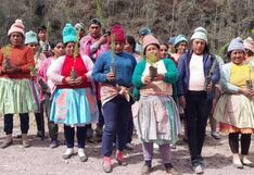 Huancayo: Sembrarán 7,000 plantones de pino y quinual para recuperar praderas de Sapallanga
