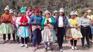 Huancayo: Sembrarán 7,000 plantones de pino y quinual para recuperar praderas de Sapallanga