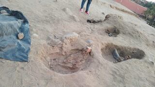 La Libertad: Descubren restos de al menos 30 niños sacrificados por la cultura Chimú