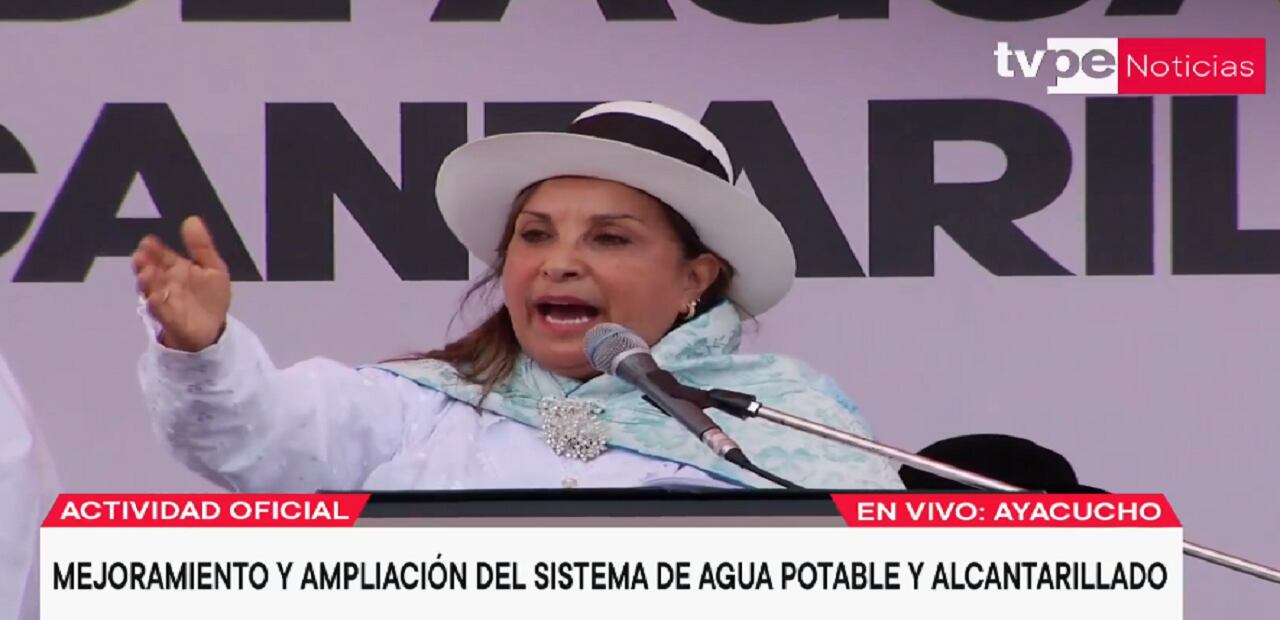 Dina Boluarte. (Captura Tv Perú).