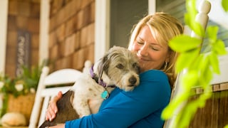 Mascotas: aliadas para mejorar la salud y el bienestar de los adultos mayores